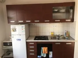 Apartmani Villa Borzic - One Bedroom Apartment with Terarce
