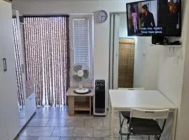 Apartments Boris Donji Karin - One Bedroom Apartment Classic Apartment