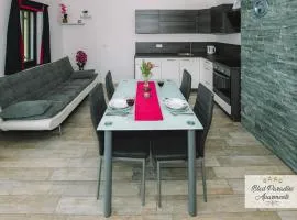 Bled Prestigious and Stylish Apartments - Standard Studio Apartment with Terrace