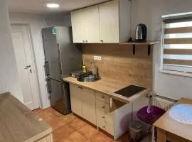 Meadow Tranquil Apartments with Evergreen Garden - Studio Apartment