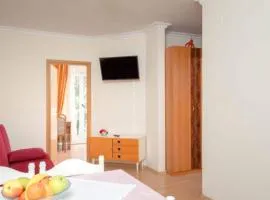 Apartments Bo ica - Studio