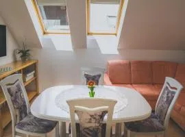 Comfortable Apartment with Mountain View - One Bedroom Apartment