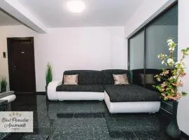 Bled Prestigious and Stylish Apartments - Standard One Bedroom Apartment with Balcony