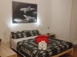 Careggi apartment