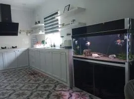 KLIA Semi-D Homestay