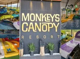 Monkeys Canopy Resort with Theme Parks