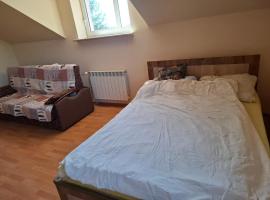 Pokoje u Zbigniewa, hotel in Chechło