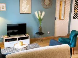 Le joli cosy du centre Dole