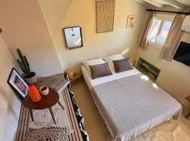 Studio Place Rossetti - Old Nice Center