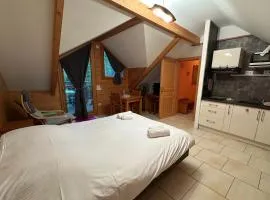 Hôtel Résidence La Maison par Les Pins Sylvestres Amnéville