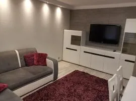 Apartament Tysiąclecie - duży parking