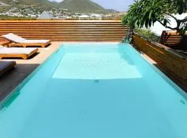 Villa Kiwi Private Pool Mont Vernon