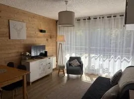 Studio de 32 m2 pour 3 personnes pied des pistes