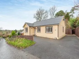 Ffynnon Ni - Uk45910