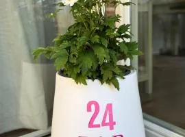 De kleine Bongerd -The little Orchard