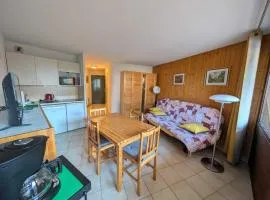 Appartement sur les pistes, parking et animaux admis - FR-1-445-199