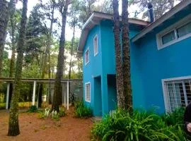 Casa Noviembre en el bosque