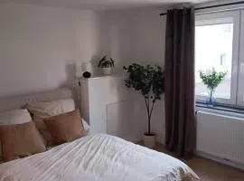 Apartment - Wohnung Bad Pyrmont