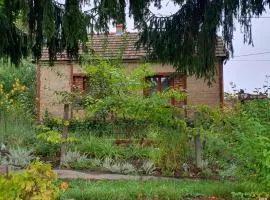Ruralna kuća za odmor Pozojova hiža - Rural Holiday House