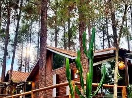 Cabana em Itu-SP Chalé Veraneio Camping Carrion