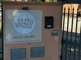 Pepe Rosa