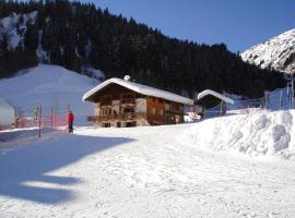 Les Myosotis, hotel near Forclaz Ski Lift, Arêches-Beaufort