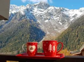 Le Sapi 1E Balcon panoramique Aiguilles Rouges avec parking gratuit