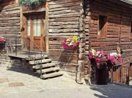 Chalet la Coccinella