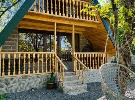 ElNi hause Borjomi