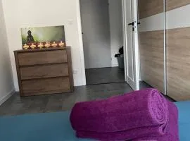 Central APT Opava