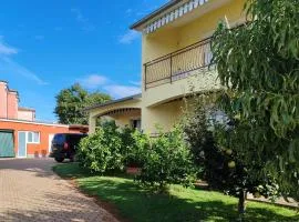 Amazing Apartment In Vabriga With Wifi
