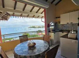 Superbe vue Mer, Appartement 4 personnes climatisé, Les trois ilets, Anse Mitan