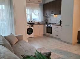 Sky Towers Apartment, hotell sihtkohas Rădăuţi