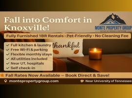 1BR Near UT & Hospitals Quiet & Cozy Pet Friendly, hotel in Knoxville