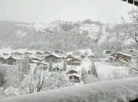 Studio cosy 4/5 pers, pied des pistes, balcon exposé ouest - FR-1-458-253