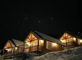 The Auli Meadows