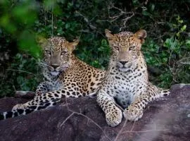 Yala Safari Rest