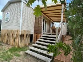 Camping Les Viviers Siblu au Cap Ferret - Mobilhome cosy