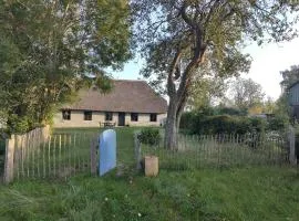Alte Schmiede