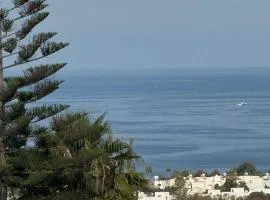 Arting Sea-A Dog friendly house