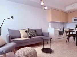 1 bedroom apartment in the center of Oulu