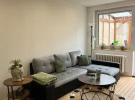 Moselzauber