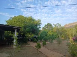 Sigiri Arana Sigiriya