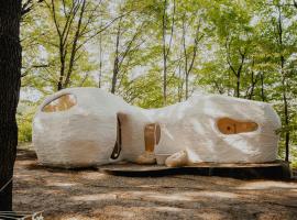 Serenity Lodge, camping em Dragomirna