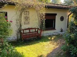 Studio X - 2 Zimmer Ferienwohnung in idyllischer und zentraler Lage