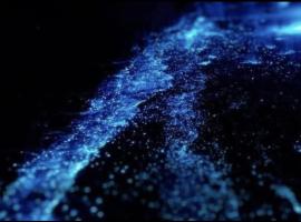 zu zu ecolodge，Rincón的飯店