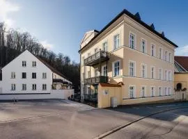 Landshut Zentrum 2 Parkplätze 100 Zoll TV Terrasse 6P