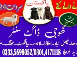 Army Dog Center Faisalabad