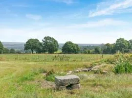 Barn Owl Lodge - Uk49903