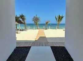 OceanView Penthouse BS with Pool
